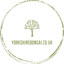 Yorkshire Bonsai Voucher & Promo Codes Yorkshire Bonsai Voucher & Promo Codes